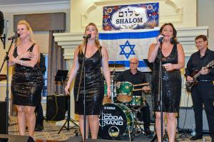 The Chiclettes &ndash; A Tribute to Female Artists